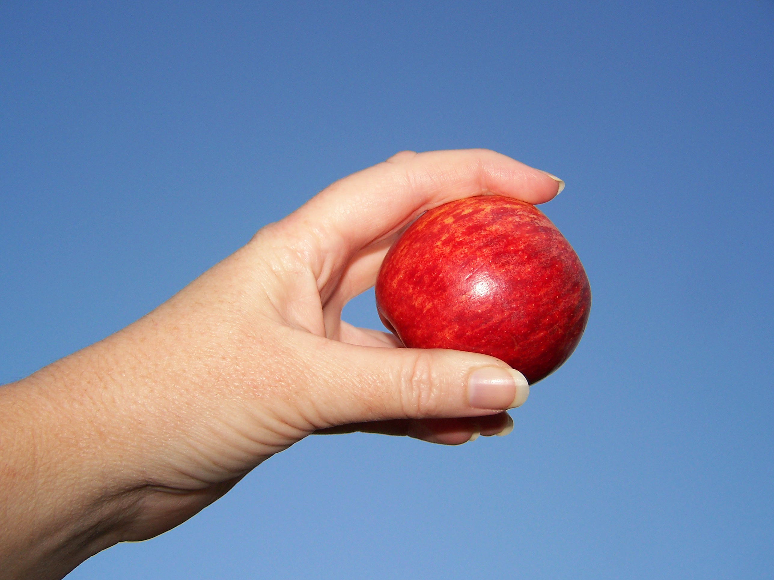 A Company's Guide to Picking the Perfect eLearning Tool