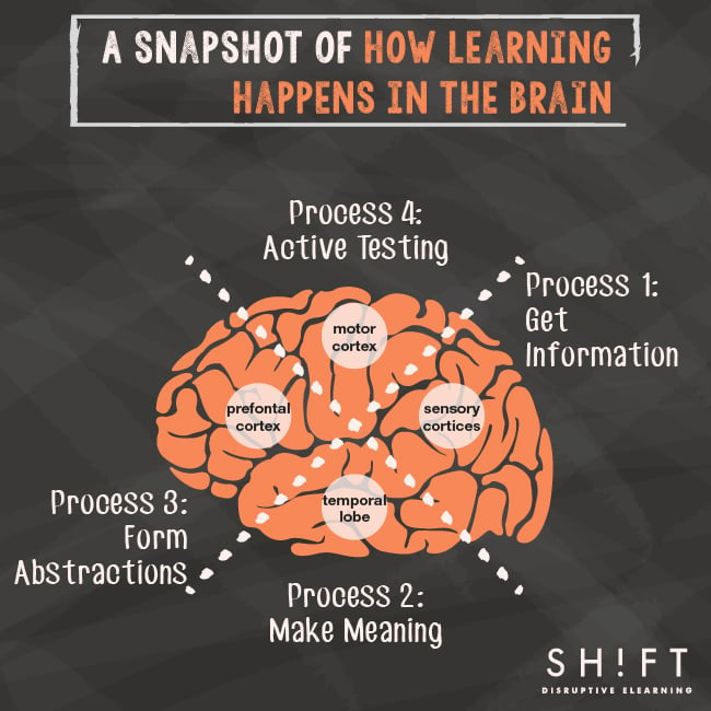 how learning happens