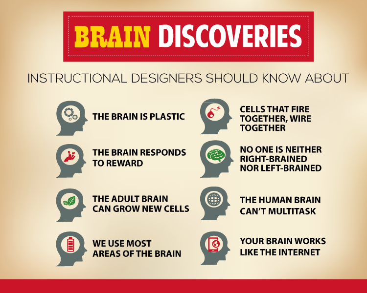 BRAIN DISCOVERIES