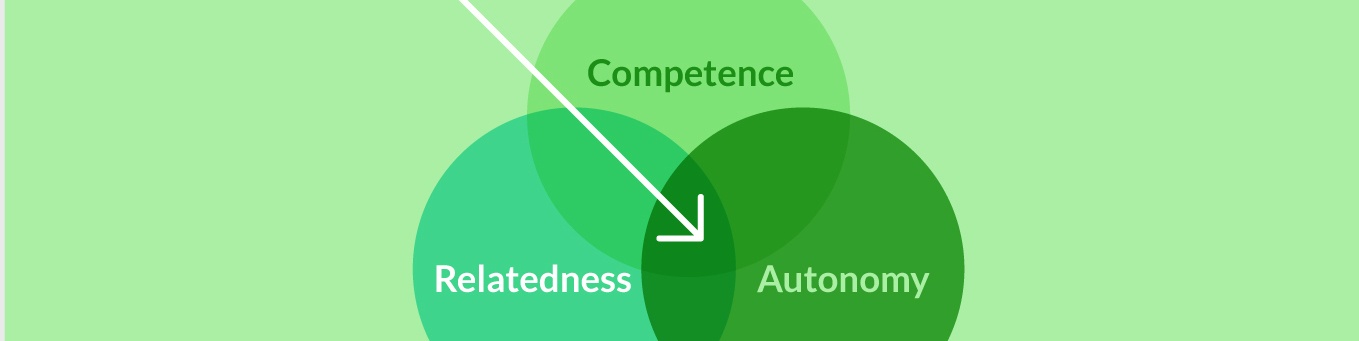 designing-for-motivation2_copy.jpg
